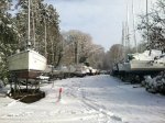 snow 1.jpg