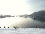 snow 4.jpg