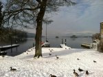 snow 3.jpg