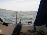 DSCN1696.jpg