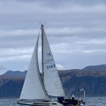 81703B30-CEA9-4438-9830-1EBBBF371B25.jpeg 81703B30-CEA9-4438-9830-1EBBBF371B25.jpeg