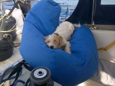 446F026C-F5DE-44C6-B461-601B4B745E6D.jpeg 446F026C-F5DE-44C6-B461-601B4B745E6D.jpeg