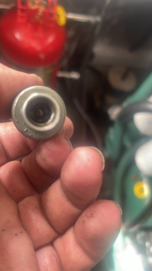 8BE32478-1BED-4772-94E5-EAADFB98C576.jpeg 8BE32478-1BED-4772-94E5-EAADFB98C576.jpeg