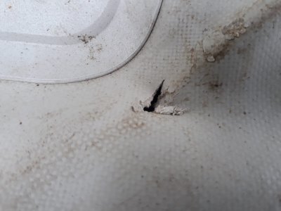 WhatsApp Image 2023-05-01 at 16.33.40.jpeg