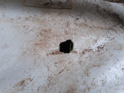 WhatsApp Image 2023-05-01 at 16.34.07.jpeg