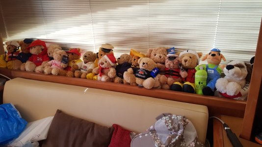 20230404_171054.resized.jpg 20230404_171054.resized.jpg