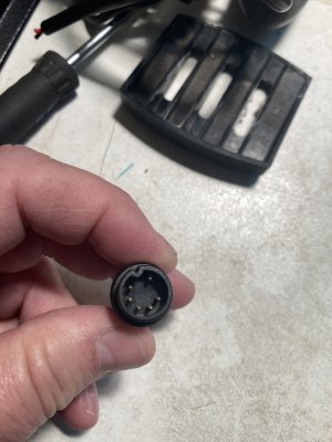 IMG_0543.jpeg IMG_0543.jpeg