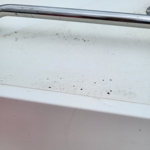 20230514_154820.jpg 20230514_154820.jpg