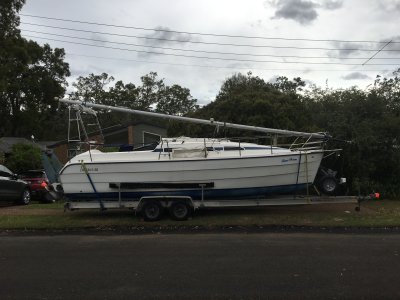 IMG_0808.jpeg IMG_0808.jpeg