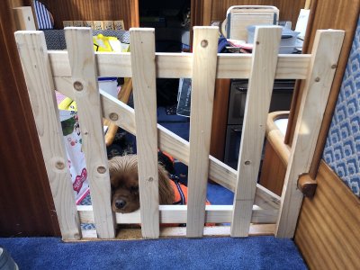 1684426427759.jpeg 1684426427759.jpeg