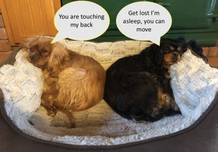 1684567289426.jpeg 1684567289426.jpeg