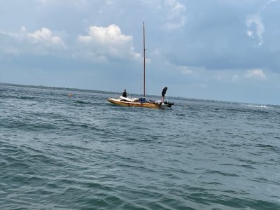 IMG_6508.jpeg IMG_6508.jpeg