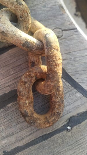 WhatsApp Image 2023-05-21 at 11.56.09.jpeg