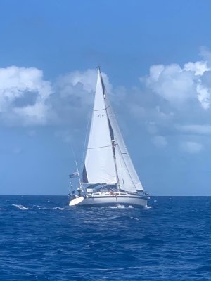 328936834_181606071257841_9051738814838665486_n.jpeg 328936834_181606071257841_9051738814838665486_n.jpeg