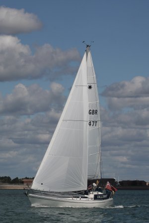 IMG_9908.jpg IMG_9908.jpg