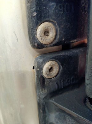 Rivet heads.jpg Rivet heads.jpg