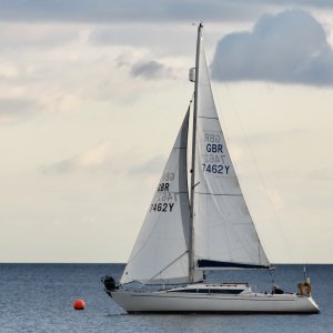 346603315_672444488022648_4822230698133146468_n.jpg 346603315_672444488022648_4822230698133146468_n.jpg