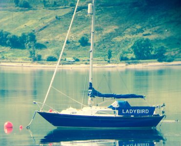 1685171206419.jpeg 1685171206419.jpeg