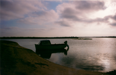 1685200272686.png 1685200272686.png