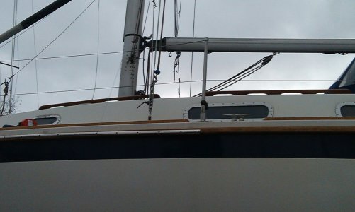 IMAG0906 1000pix.jpg