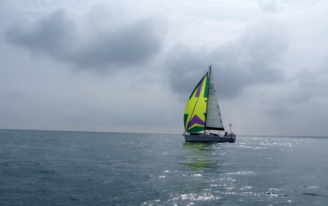 P1010473_edit small.jpg P1010473_edit small.jpg