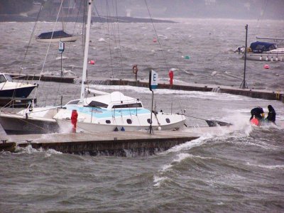 IMG_3910.jpeg IMG_3910.jpeg