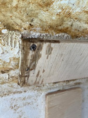 IMG_4721.jpeg IMG_4721.jpeg