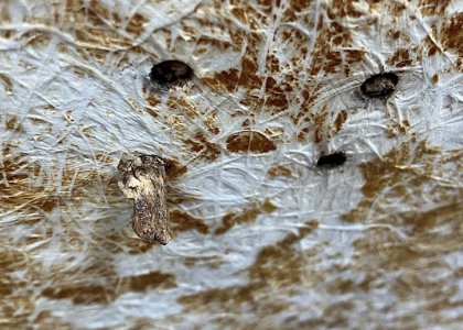 IMG_4726.jpeg IMG_4726.jpeg