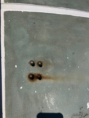 IMG_4727.jpeg IMG_4727.jpeg