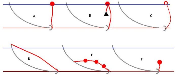 grippia.JPG grippia.JPG