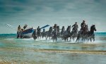 lloyds-black-horses-lifeboat.jpg