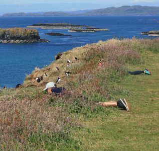 Helen and Steve puffin watching - smaller.jpg