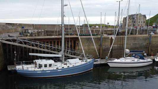 Screenshot (50) cropped.png