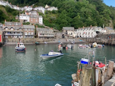 IMG_6930.jpeg IMG_6930.jpeg