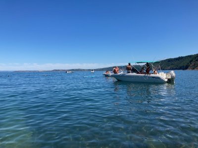 IMG_9251.jpeg IMG_9251.jpeg