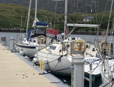 IMG_5262 cropped.jpg IMG_5262 cropped.jpg