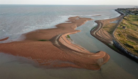 DJI_0199 (1962 x 1120).jpg