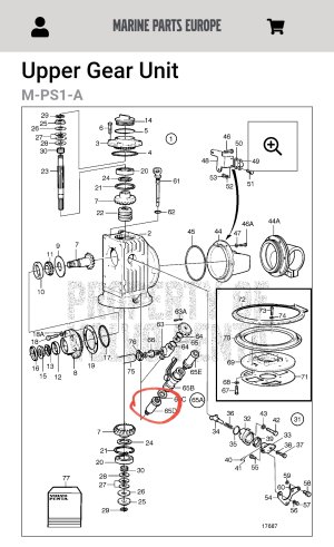 Screenshot_20230707-125346_Samsung Internet.jpg