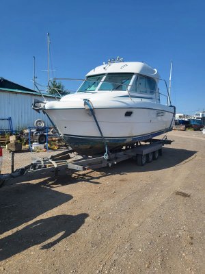 650aa8c7-6bb6-484d-b9c6-9ccf1fa98c2d (1).jpeg