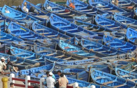 P1060682.jpg P1060682.jpg