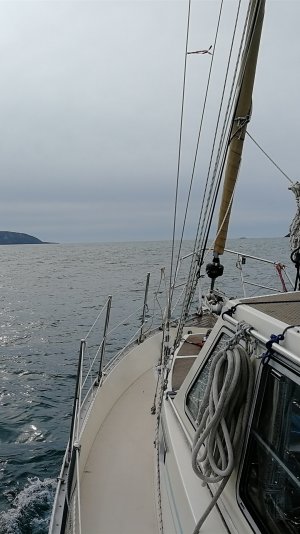 Screenshot_20230707_132547_com.android.gallery3d.jpg Screenshot_20230707_132547_com.android.gallery3d.jpg