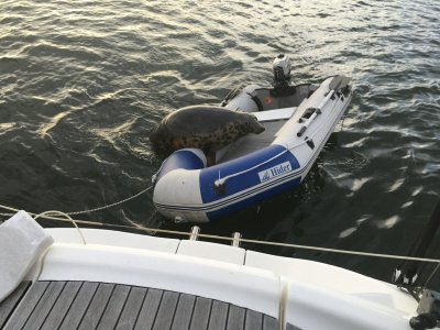 IMG_0203.jpeg IMG_0203.jpeg