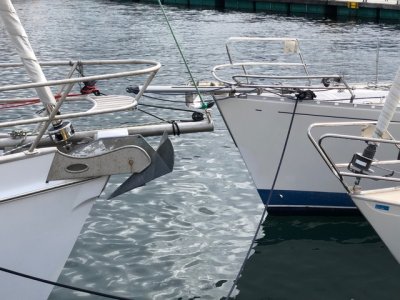 IMG_3478 2.jpeg IMG_3478 2.jpeg