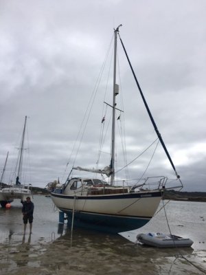 IMG_3908 Green Bay -Scilly.JPG