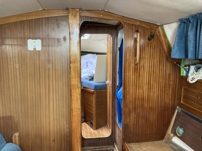 IMG_2477 1000pix.jpg IMG_2477 1000pix.jpg