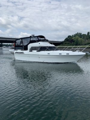 IMG_7904.jpeg IMG_7904.jpeg