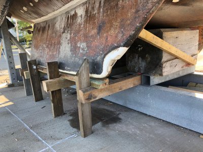 WhatsApp Image 2023-08-01 at 16.33.24.jpeg