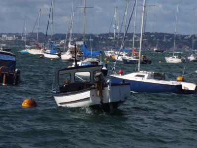 Brixham 2.jpeg