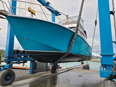 20220408_083650.jpg 20220408_083650.jpg