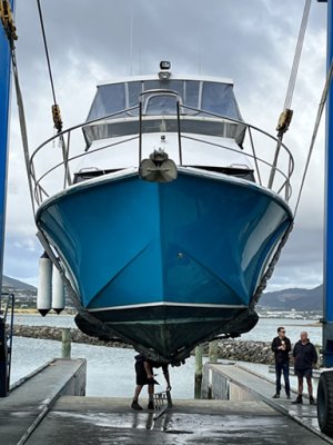 IMG_0729.jpg IMG_0729.jpg